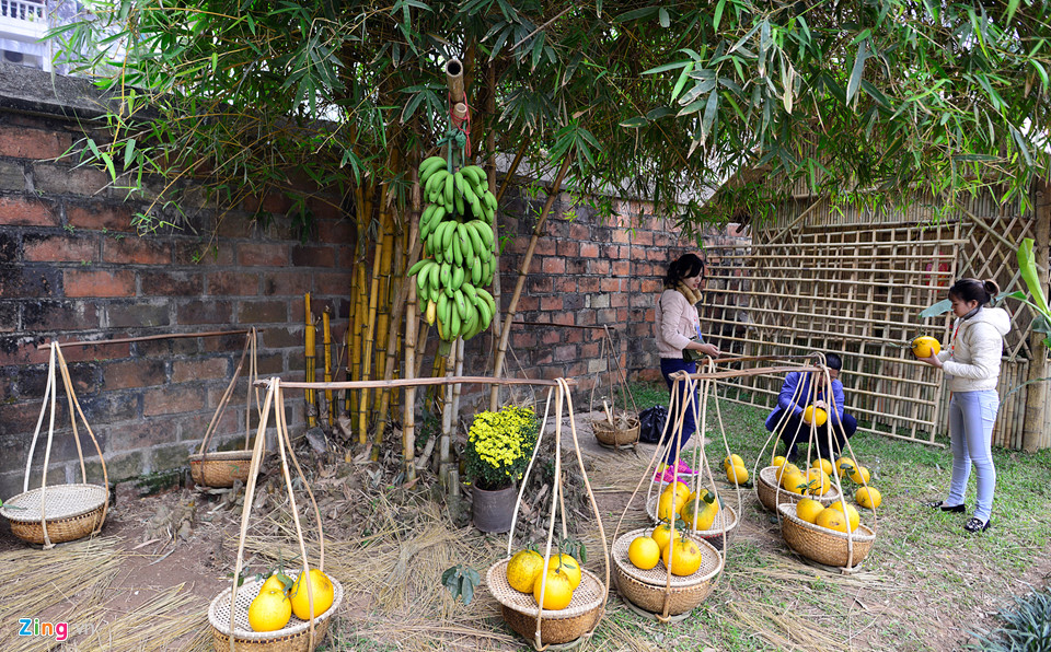 Diện mạo khác lạ ở Văn Miếu trước Tết